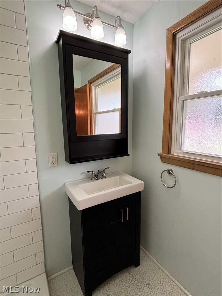 7595 Webster Road Cleveland, OH 44130 - Photo 23 of 45 Master bathroom vanity and medicine cabinet