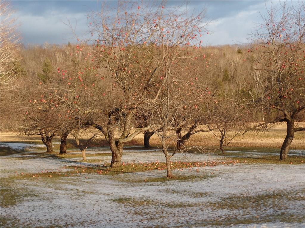 805 Weld Road Wilton, ME 04294 - Photo 4 of 35 Photo