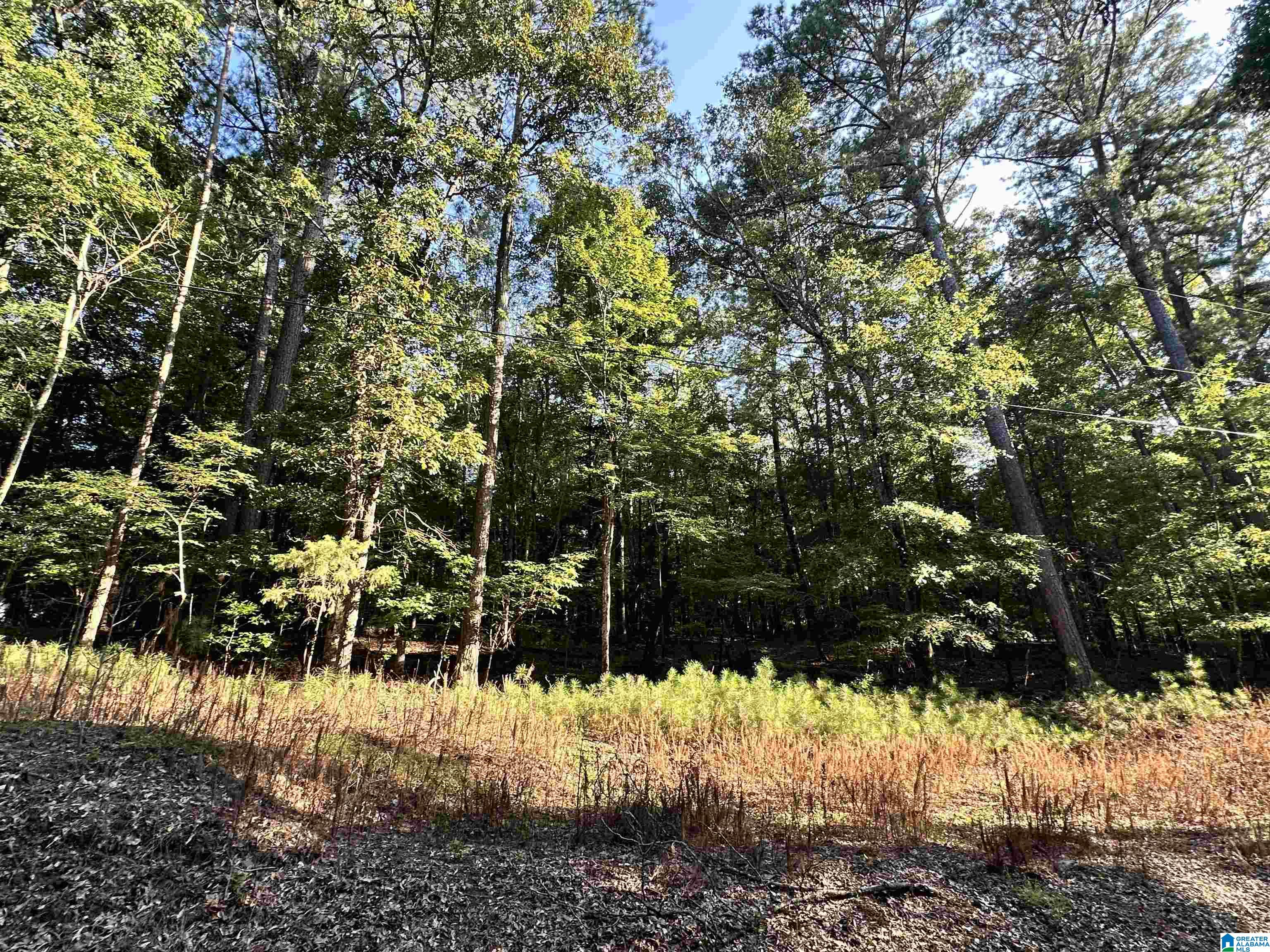 500 Black Acres Road, Unit 27 Cropwell, AL 35054 - Photo 13 of 25