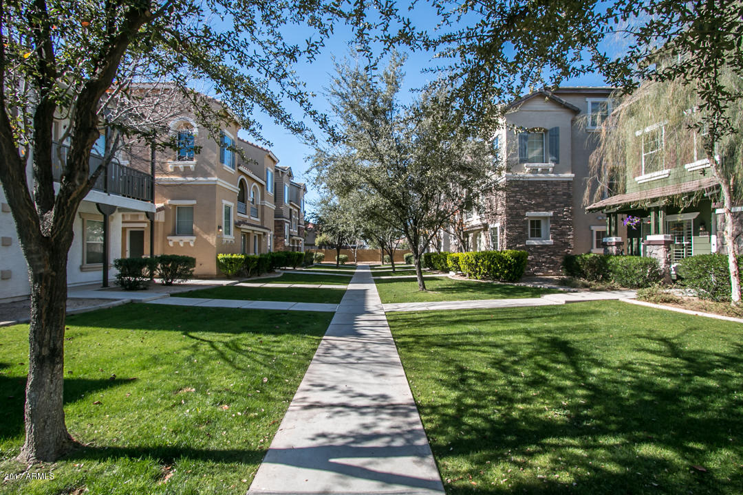 160 West Commerce Court Gilbert, AZ 85233 - Photo 19 of 22 IMG_0062