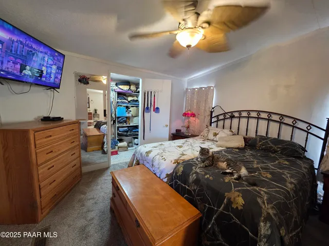 a view of a garden with a tree in the background