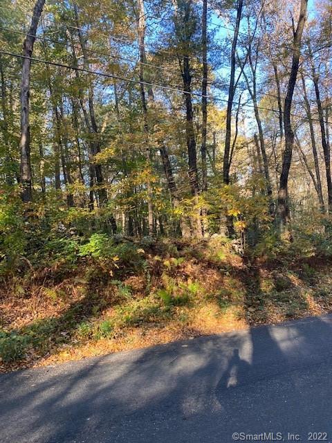 2-a-2 Center Road Woodstock, CT 06281 - Photo 1 of 1