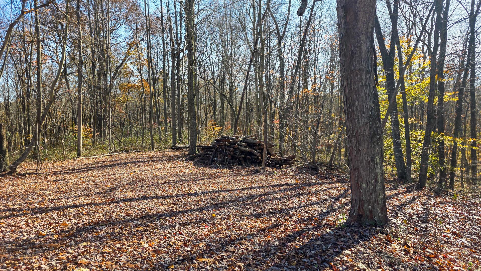 680 Nibert Road, Unit PONDS POPLAR RIDGE TRACT 10) Gallipolis, OH 45631 - Photo 40 of 46 CT-40