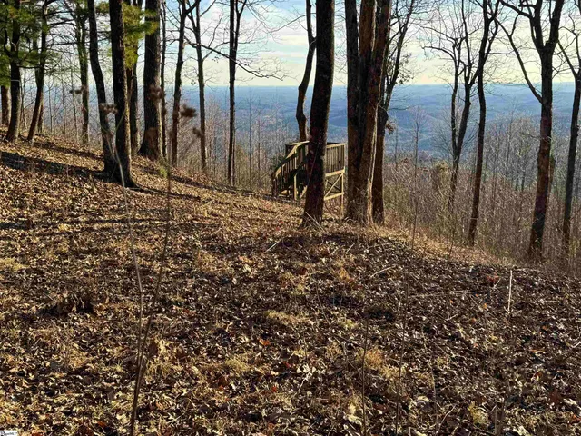 $529,000 | 246 Bella Vista Court, Unit CVNCM009, Zirconia, NC 28790