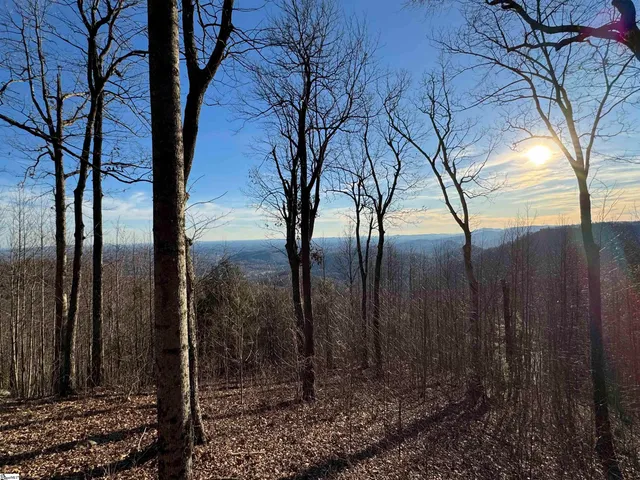 $529,000 | 246 Bella Vista Court, Unit CVNCM009, Zirconia, NC 28790