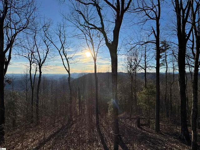 $529,000 | 246 Bella Vista Court, Unit CVNCM009, Zirconia, NC 28790