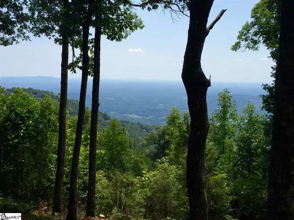 $459,000 | 246 Bella Vista Court, Unit CVNCM009, Zirconia, NC 28790