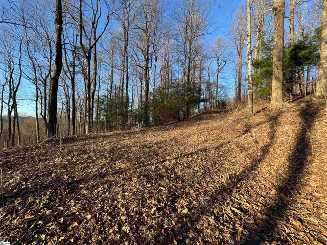 $529,000 | 246 Bella Vista Court, Unit CVNCM009, Zirconia, NC 28790