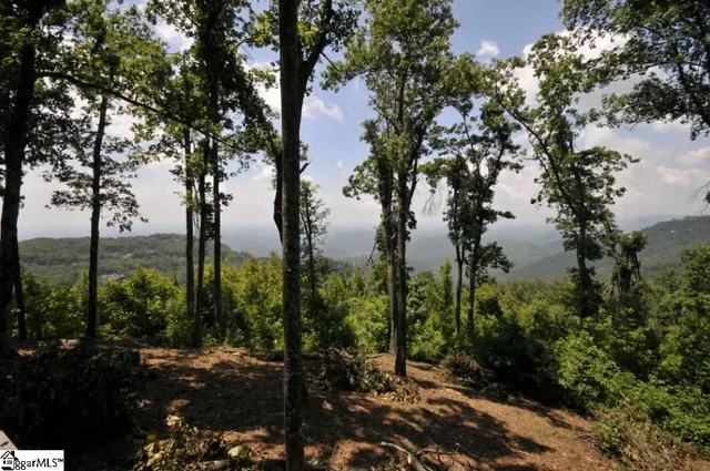 $529,000 | 246 Bella Vista Court, Unit CVNCM009, Zirconia, NC 28790