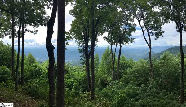 $459,000 | 246 Bella Vista Court, Unit CVNCM009, Zirconia, NC 28790