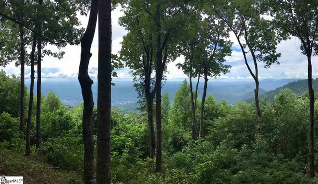 $529,000 | 246 Bella Vista Court, Unit CVNCM009, Zirconia, NC 28790