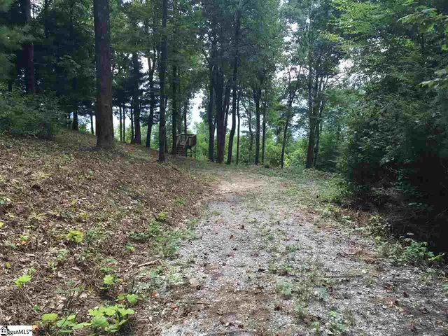 $529,000 | 246 Bella Vista Court, Unit CVNCM009, Zirconia, NC 28790