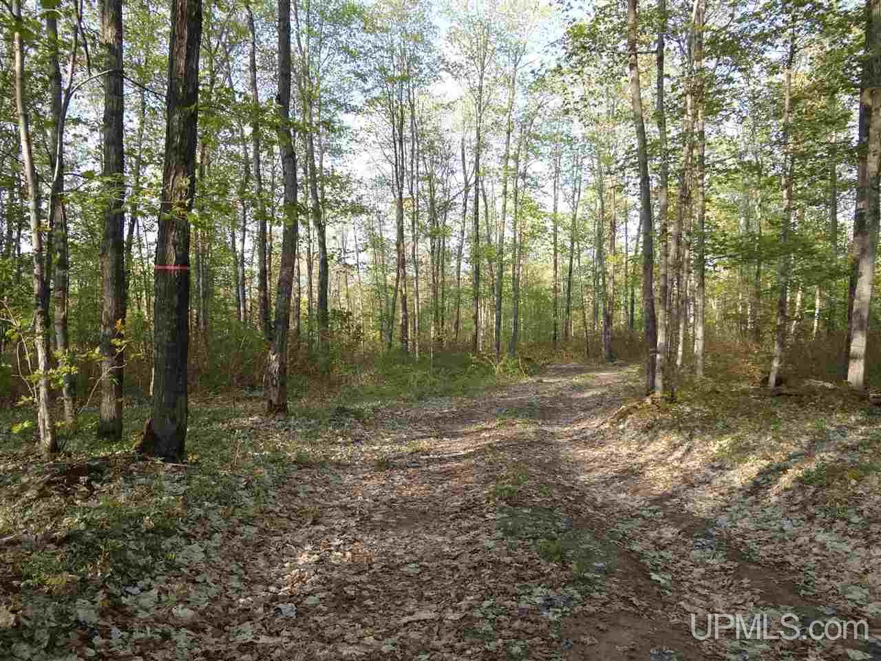Tbd Coles Creek Road, Unit PARCEL 11 Hancock, MI 49931 - Photo 10 of 12