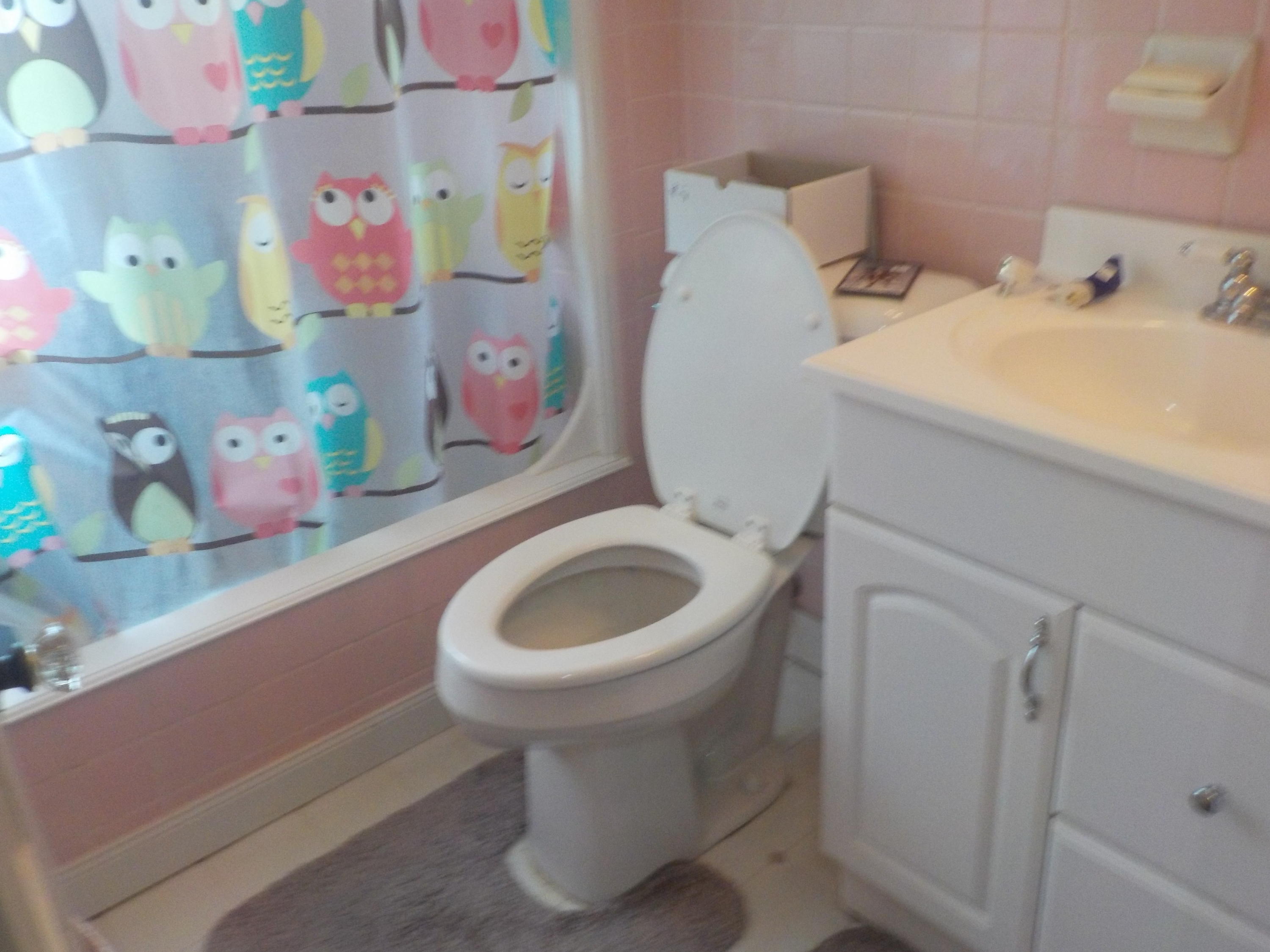 112 Cedar Road Oak Ridge, TN 37830 - Photo 13 of 21 Bathroom