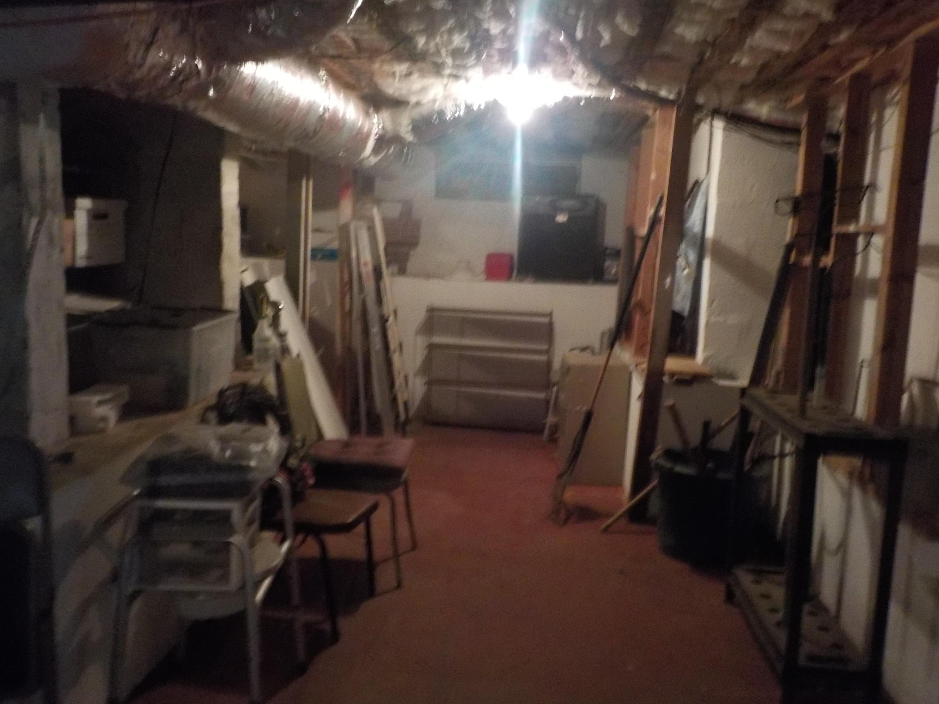 112 Cedar Road Oak Ridge, TN 37830 - Photo 16 of 21 Unfinished Basement