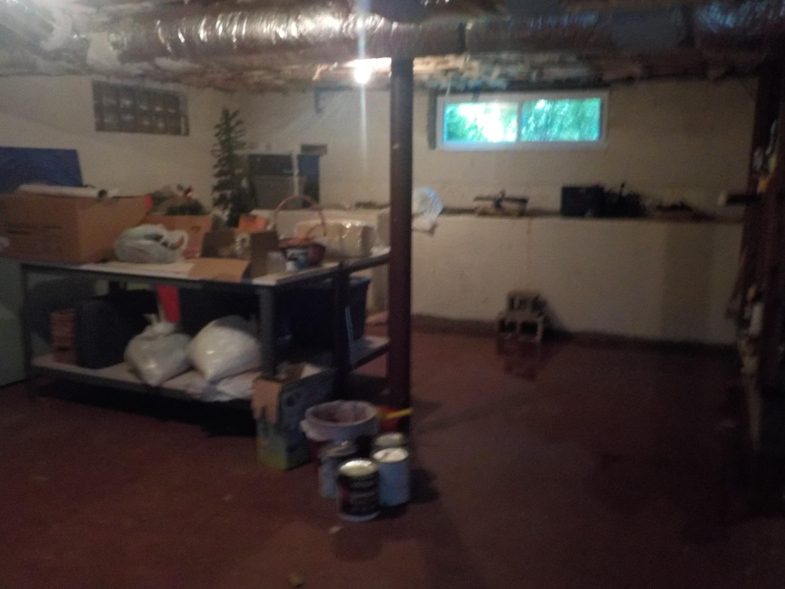 112 Cedar Road Oak Ridge, TN 37830 - Photo 17 of 21 Unfinished Basement