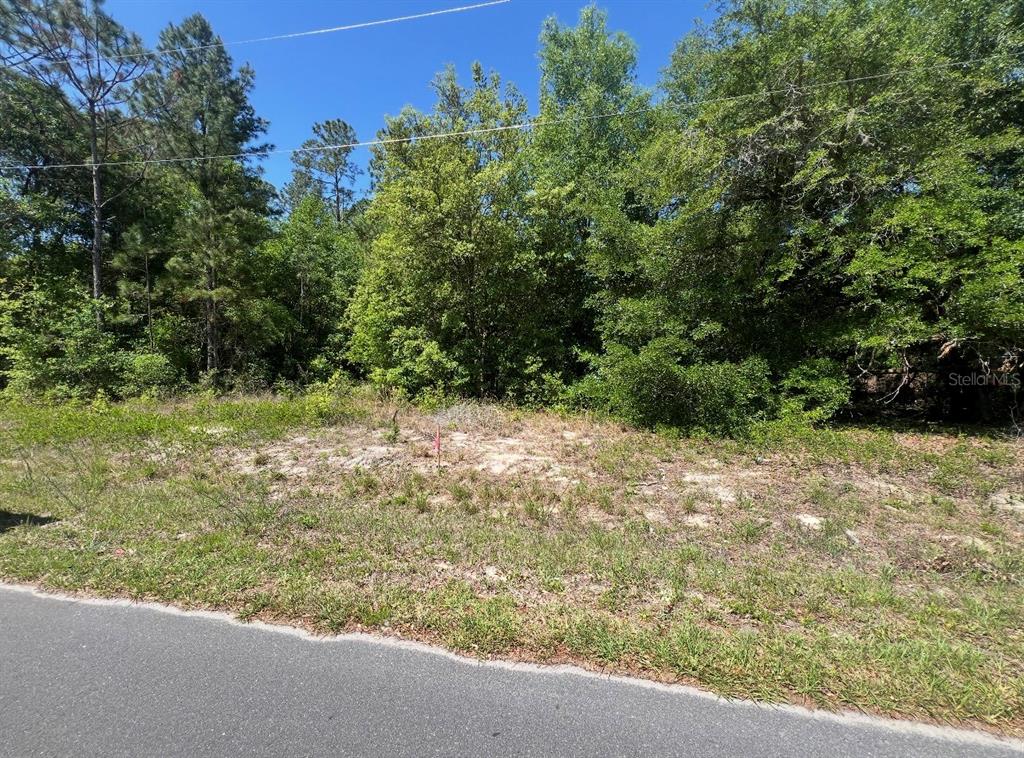 Tbd Locust Course Lane Ocala, FL 34472 - Photo 3 of 6