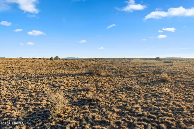 a kitchen with furniture and wooden floor