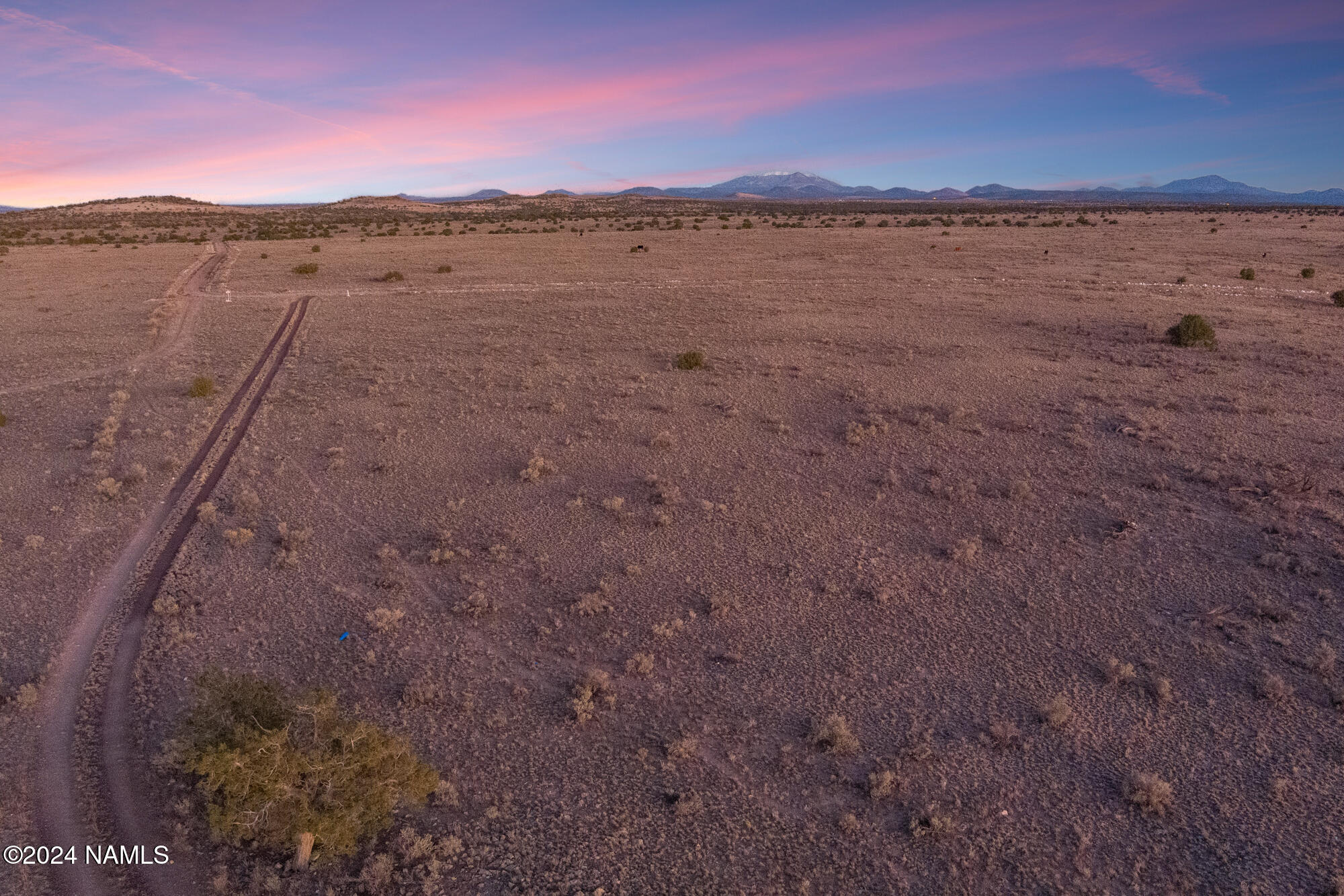 8509 West Thunder Valley Road, Unit 921 Williams, AZ 86046 - Photo 40 of 40 MAX_0110