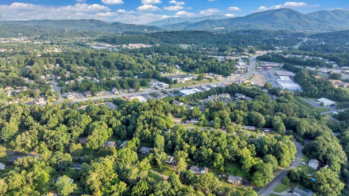 3713 Pinevale Road Roanoke, VA 24018 - Photo 42 of 46 a view of a houses with a lush green hillside