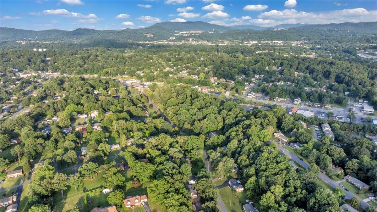 3713 Pinevale Road Roanoke, VA 24018 - Photo 43 of 46 a view of a city with lush green forest