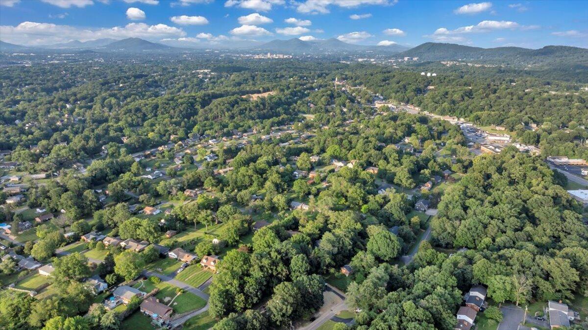 3713 Pinevale Road Roanoke, VA 24018 - Photo 44 of 46 a view of a city with lush green forest