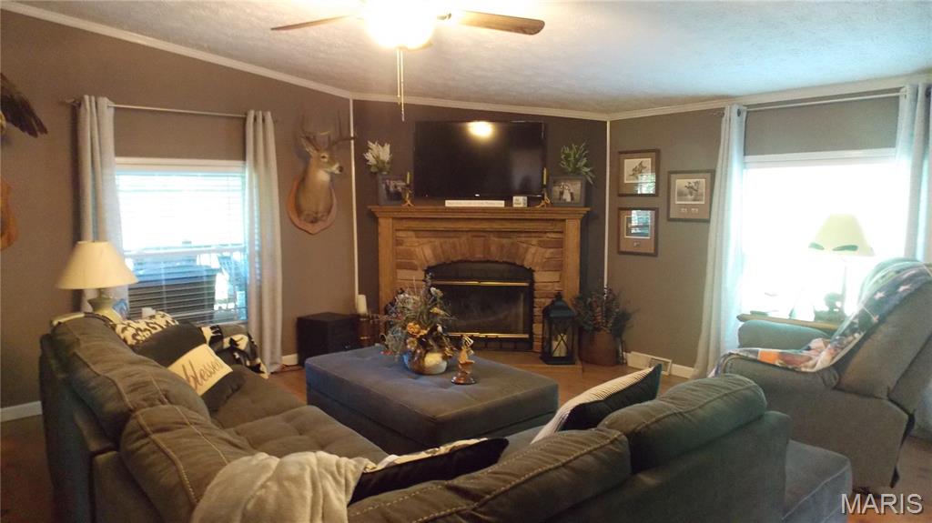532 Ripley 160e-30 Naylor, MO 63953 - Photo 3 of 27