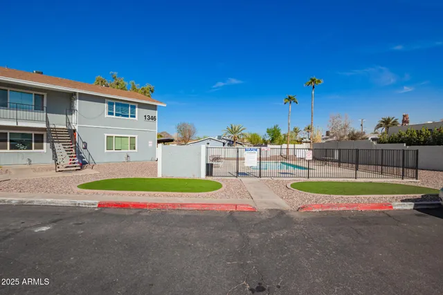 a small garden covered with tall trees