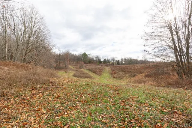 a view of a field with trees in the background