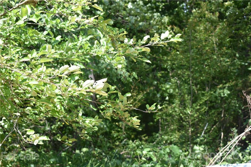228 Jim Patterson Road Kings Mountain, NC 28086 - Photo 26 of 29 Gallery Image 26
