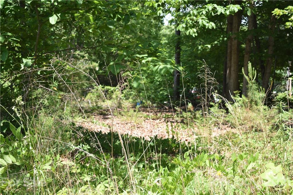 228 Jim Patterson Road Kings Mountain, NC 28086 - Photo 28 of 29 Gallery Image 28