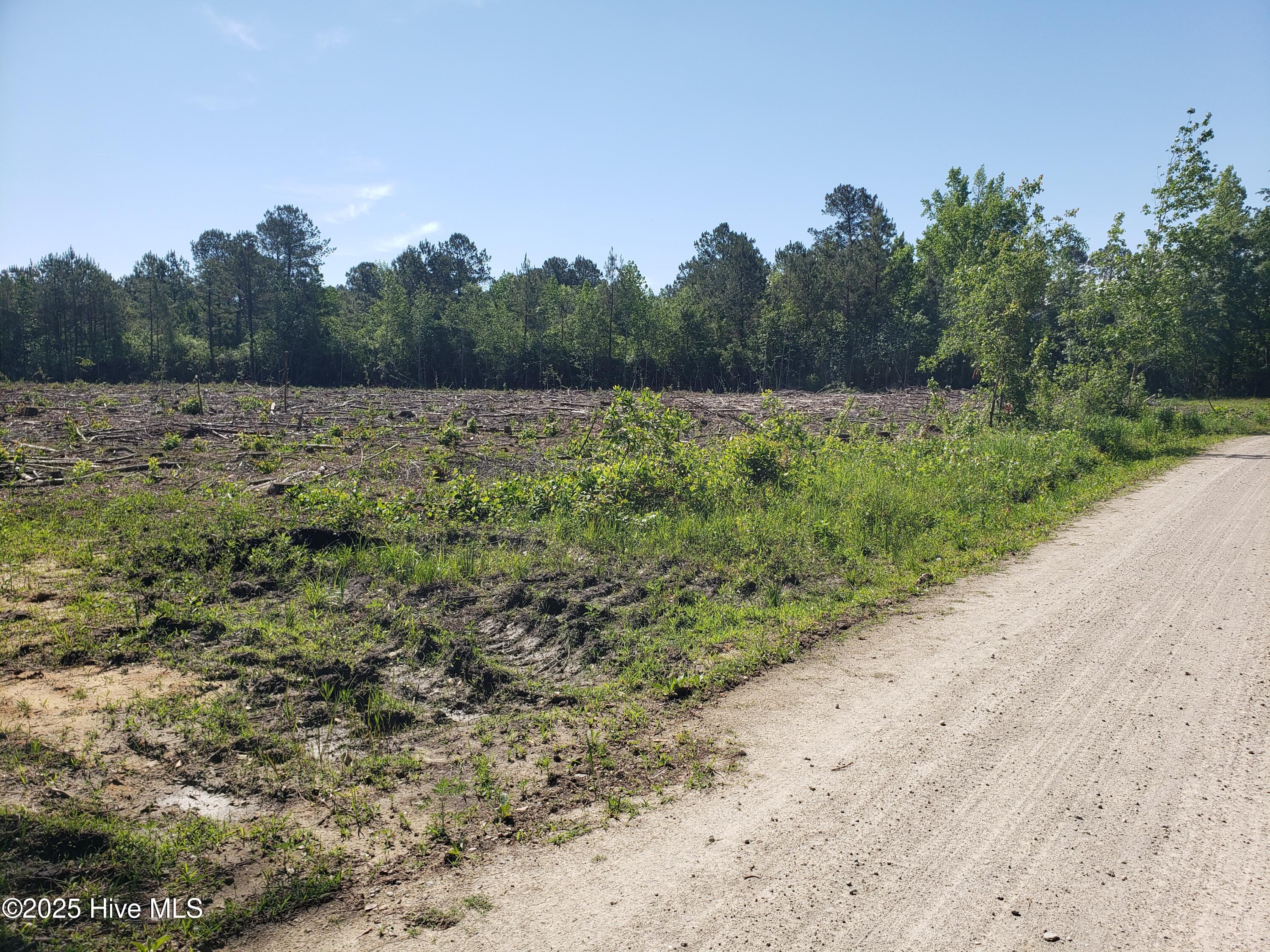 23.95-ac Loop Road Bolton, NC 28423 - Photo 5 of 9 20.95AC