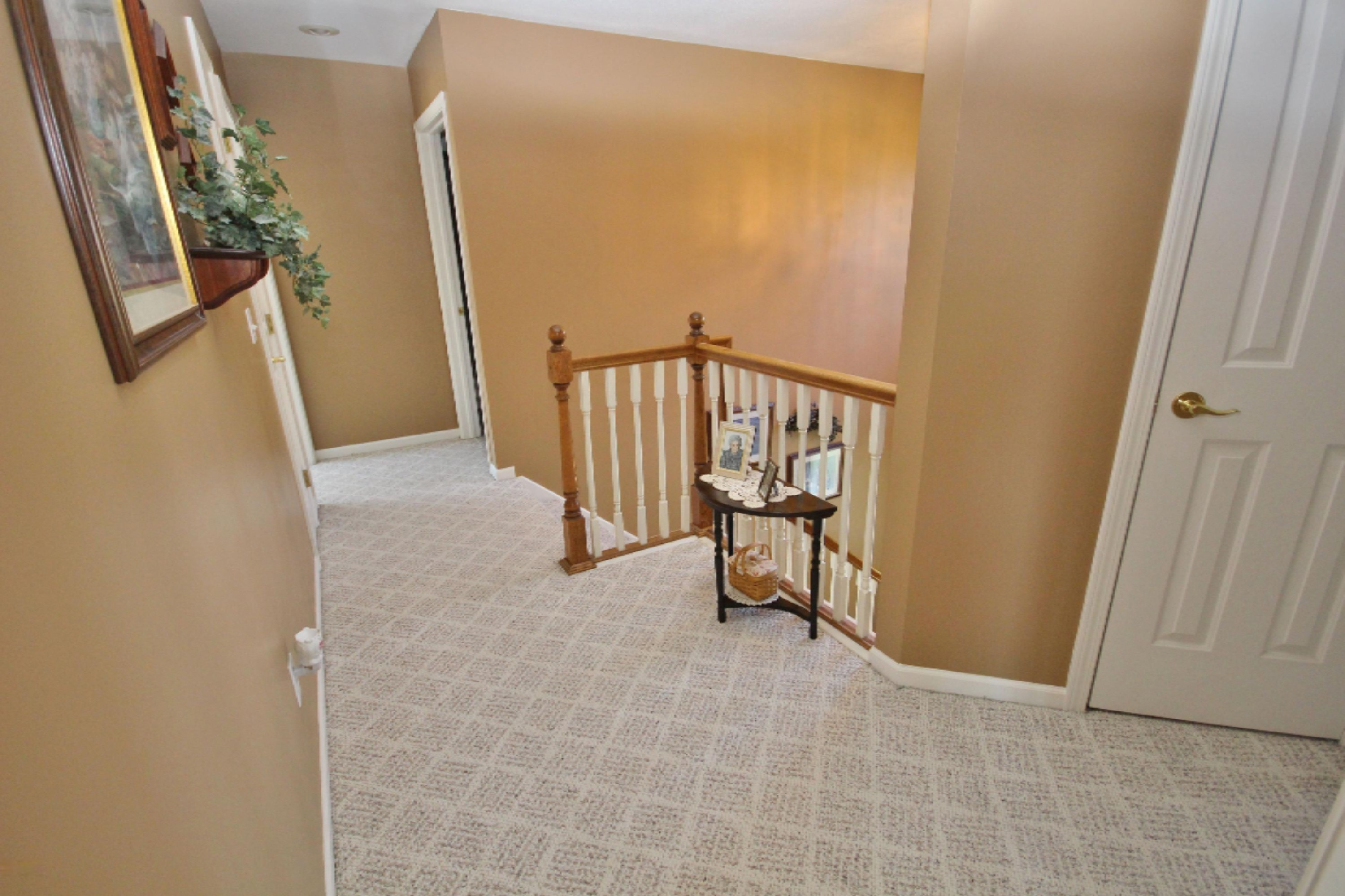 17445 Moccasin Drive Three Rivers, MI 49093 - Photo 45 of 45 IMG_6855