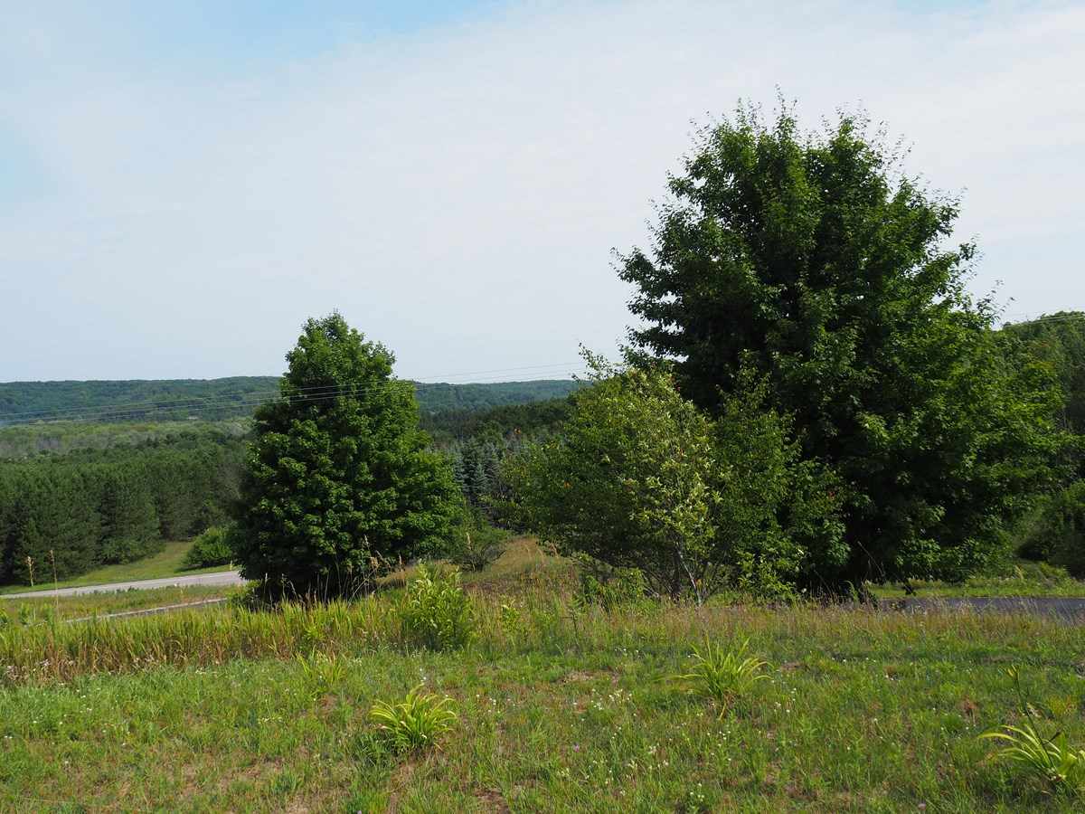 3349 Grace Road Frankfort, MI 49635 - Photo 32 of 45 1851840-31.JPG