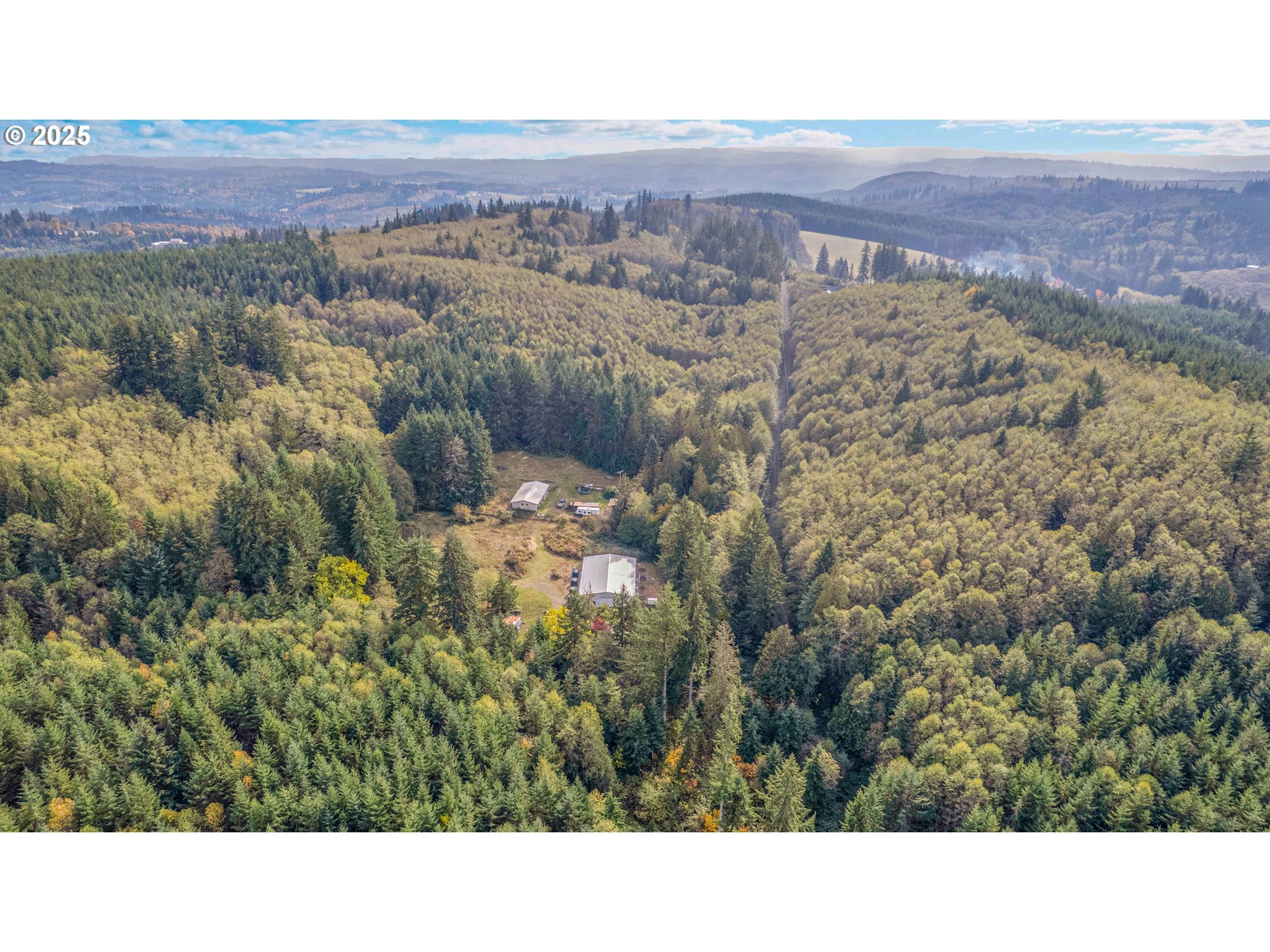 29100 Zimmerman Road Rainier, OR 97048 - Photo 39 of 48 a view of a mountain in the distance