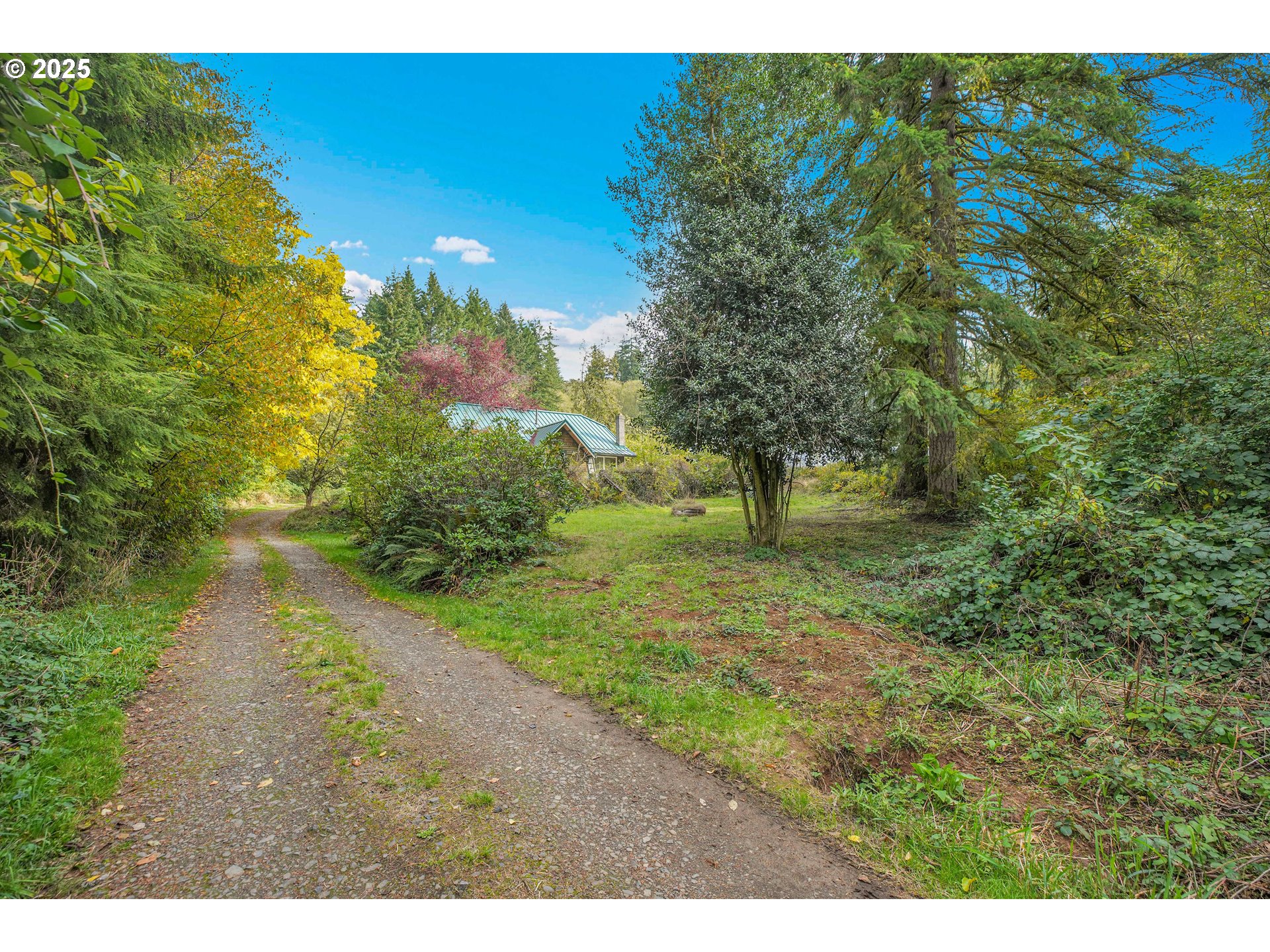 29100 Zimmerman Road Rainier, OR 97048 - Photo 44 of 48 a view of a yard with plants and a bench