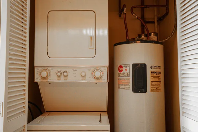 a picture of flowers