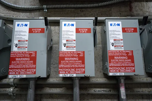 a picture of flowers