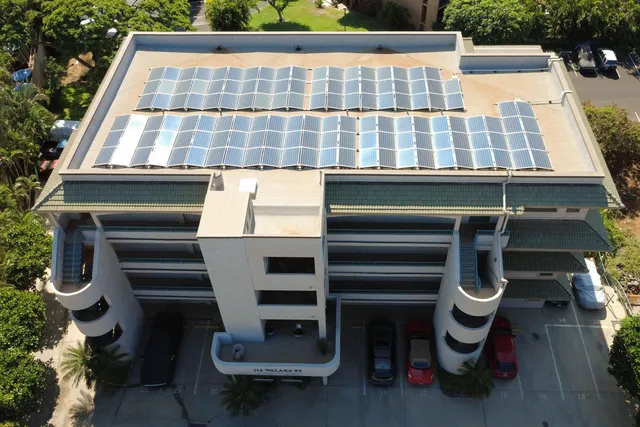 a potted plant in front of a glass door