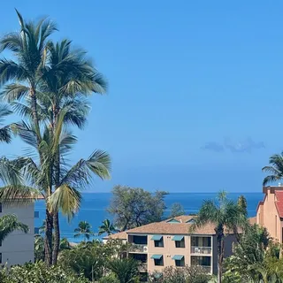 a potted plant in front of a glass door