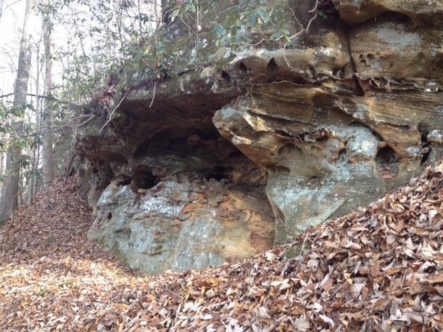 1 Skidmore Road Frenchburg, KY 40322 - Photo 2 of 3 Photo 2