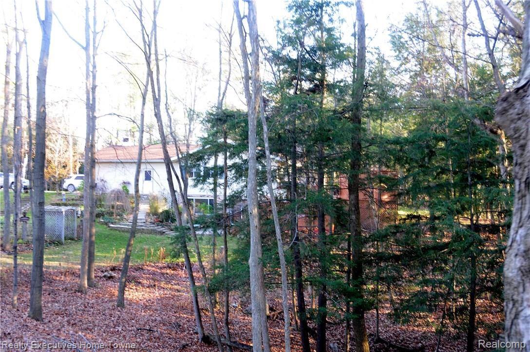 6861 Gibbons Road Jeddo, MI 48032 - Photo 40 of 52 JPG_8289.JPG