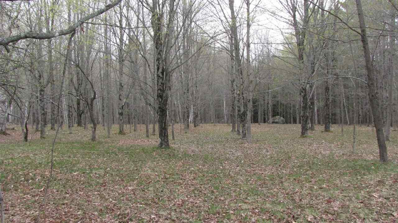 32 Ferson Road Hanover, NH 03755 - Photo 7 of 9