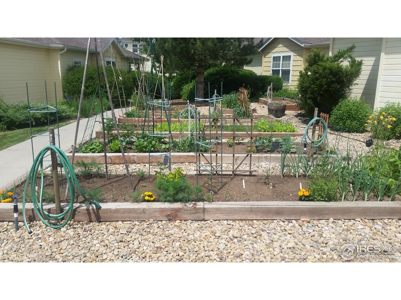 3910 Colorado Avenue, Unit C Boulder, CO 80303 - Photo 28 of 34 Community Gardens
