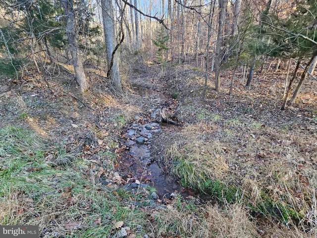 a backyard of a house with large trees and outdoor space