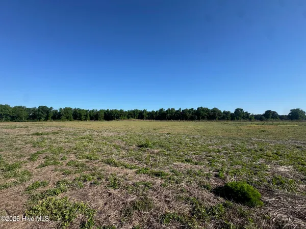 $195,000 | 0 Thompson Avenue, Turkey, NC 28393