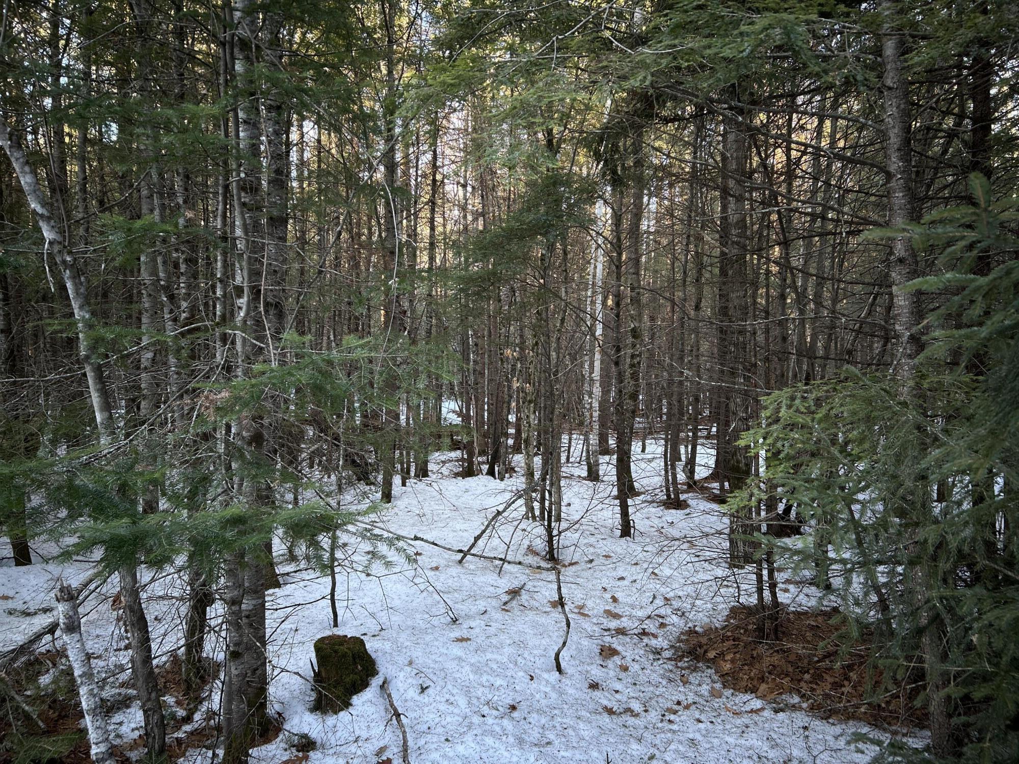 Map13-lot11 Field View Road Fryeburg, ME 04037 - Photo 28 of 37