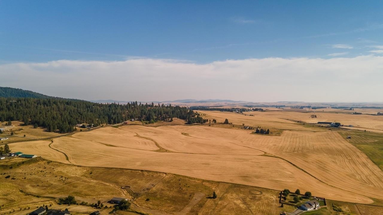 12206 South Jackson Road Mica, WA 99023 - Photo 19 of 19