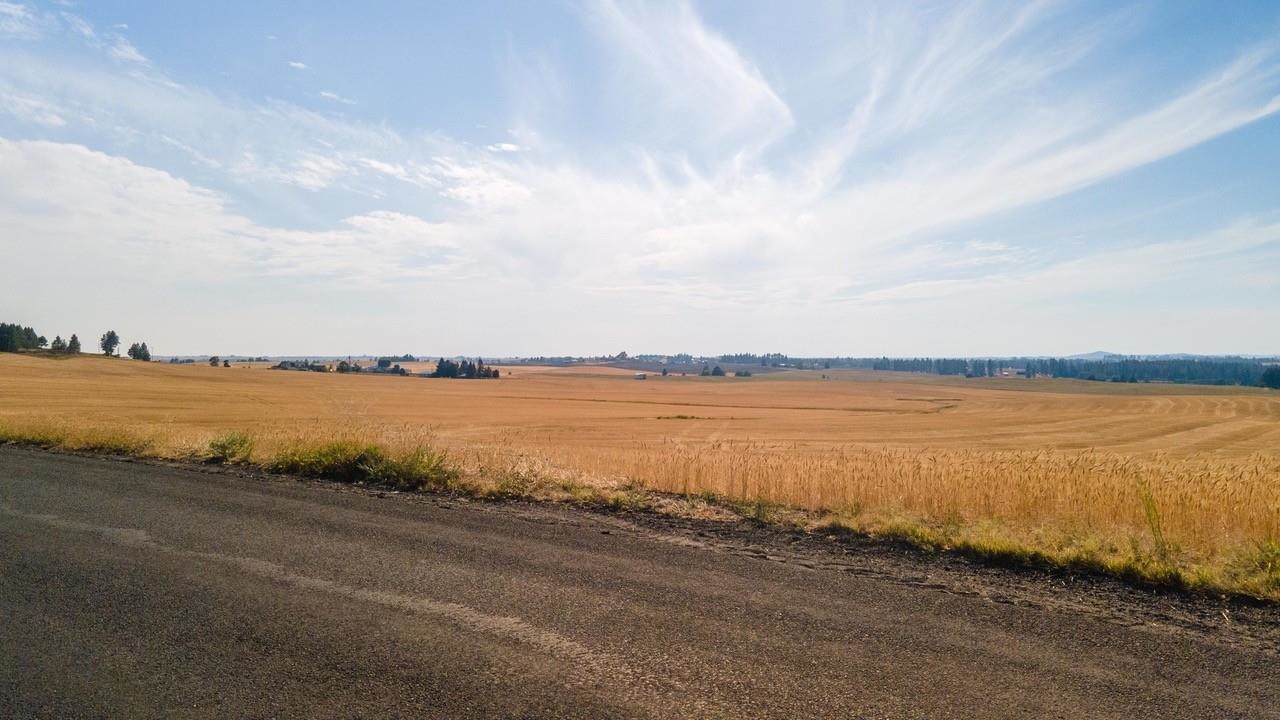 12206 South Jackson Road Mica, WA 99023 - Photo 3 of 19