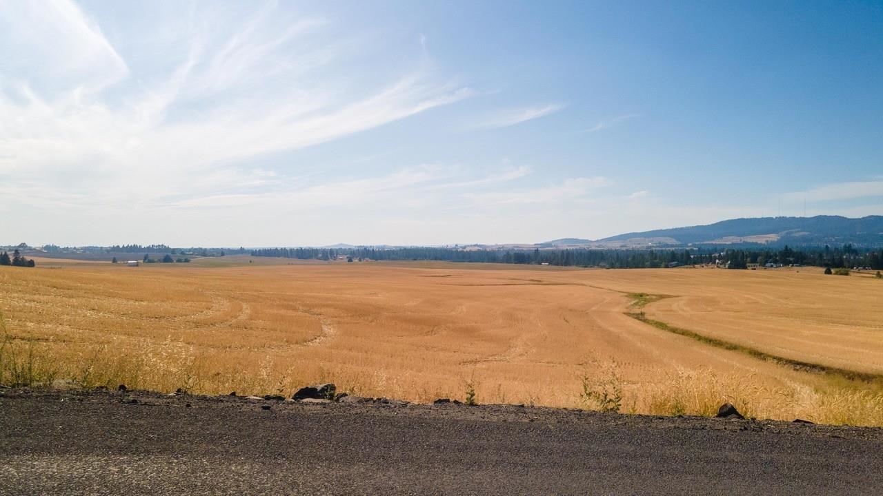12206 South Jackson Road Mica, WA 99023 - Photo 5 of 19